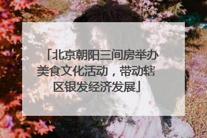 北京朝阳三间房举办美食文化活动，带动辖区银发经济发展