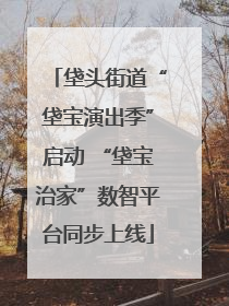 垡头街道“垡宝演出季”启动 “垡宝治家”数智平台同步上线