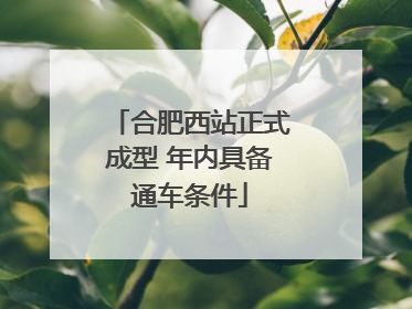 合肥西站正式成型 年内具备通车条件