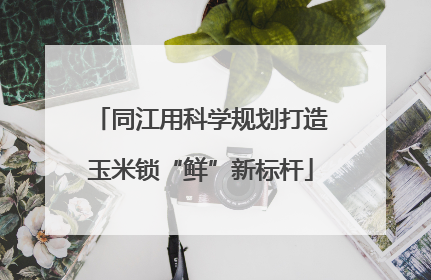 同江用科学规划打造玉米锁“鲜”新标杆