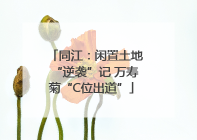 同江：闲置土地“逆袭”记 万寿菊“C位出道”