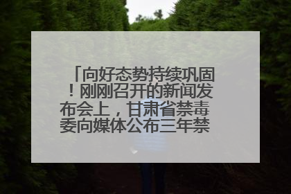 向好态势持续巩固！刚刚召开的新闻发布会上，甘肃省禁毒委向媒体公布三年禁毒工作“成绩单”