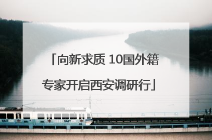向新求质 10国外籍专家开启西安调研行