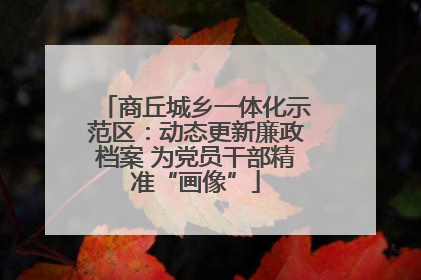 商丘城乡一体化示范区：动态更新廉政档案 为党员干部精准“画像”