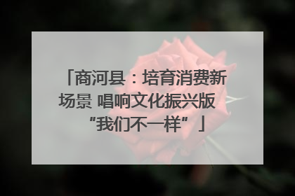 商河县：培育消费新场景 唱响文化振兴版“我们不一样”