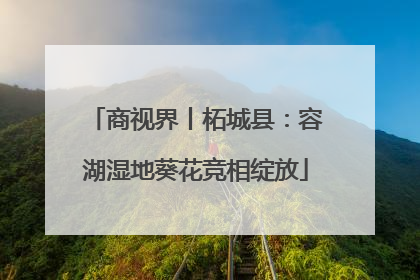 商视界丨柘城县：容湖湿地葵花竞相绽放