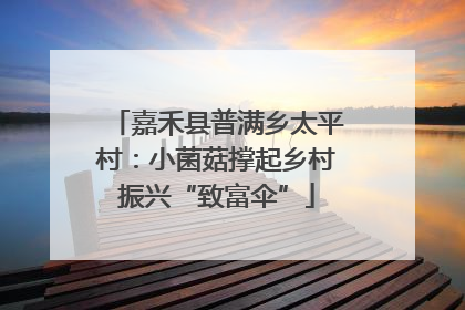 嘉禾县普满乡太平村：小菌菇撑起乡村振兴“致富伞”