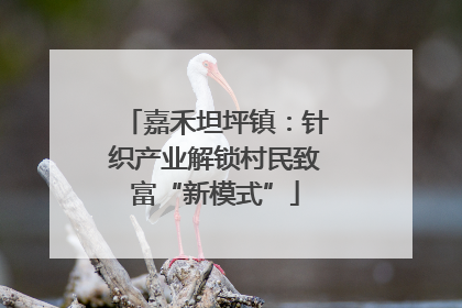 嘉禾坦坪镇：针织产业解锁村民致富“新模式”