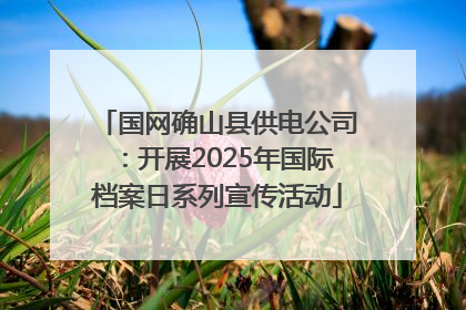 国网确山县供电公司：开展2025年国际档案日系列宣传活动