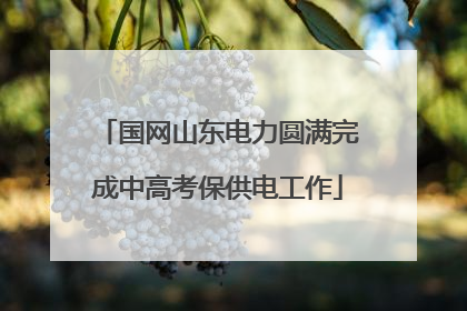 国网山东电力圆满完成中高考保供电工作