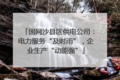 国网沙县区供电公司：电力服务“及时雨”，企业生产“动能强”