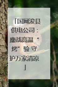 国网浚县供电公司：鏖战高温“烤”验 守护万家清凉