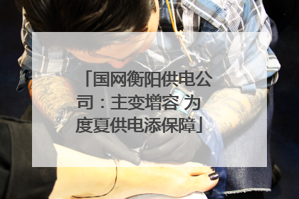 国网衡阳供电公司：主变增容 为度夏供电添保障