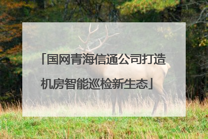 国网青海信通公司打造机房智能巡检新生态
