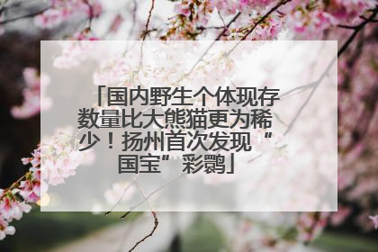 国内野生个体现存数量比大熊猫更为稀少！扬州首次发现“国宝”彩鹮