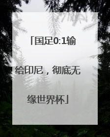 国足0:1输给印尼，彻底无缘世界杯