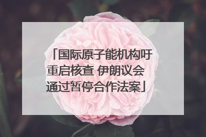 国际原子能机构吁重启核查 伊朗议会通过暂停合作法案