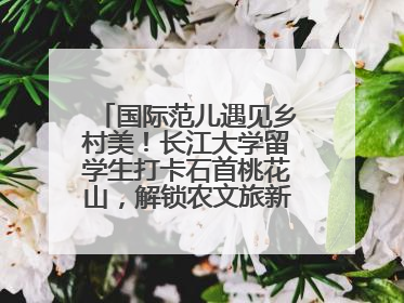 国际范儿遇见乡村美！长江大学留学生打卡石首桃花山，解锁农文旅新玩法！