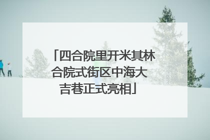 四合院里开米其林 合院式街区中海大吉巷正式亮相