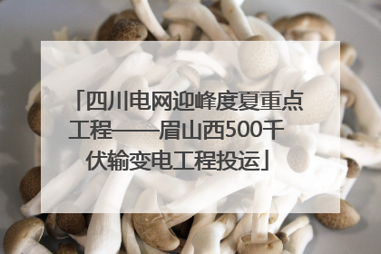 四川电网迎峰度夏重点工程——眉山西500千伏输变电工程投运