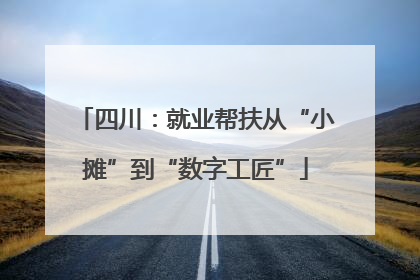 四川：就业帮扶从“小摊”到“数字工匠”