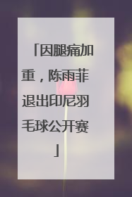 因腿痛加重，陈雨菲退出印尼羽毛球公开赛
