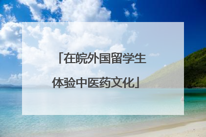 在皖外国留学生体验中医药文化