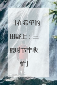 在希望的田野上：三夏时节丰收忙