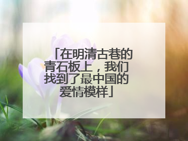 在明清古巷的青石板上，我们找到了最中国的爱情模样