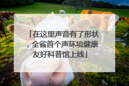 在这里声音有了形状，全省首个声环境健康友好科普馆上线