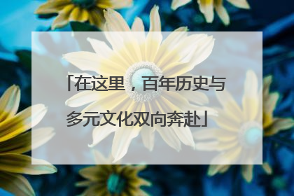 在这里，百年历史与多元文化双向奔赴