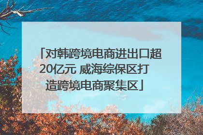 对韩跨境电商进出口超20亿元 威海综保区打造跨境电商聚集区