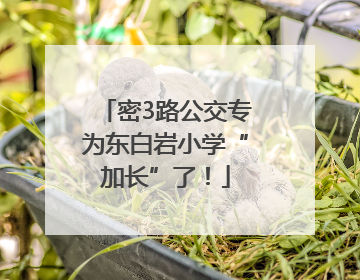 密3路公交专为东白岩小学“加长”了！