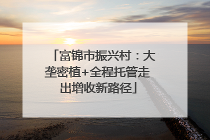 富锦市振兴村：大垄密植+全程托管走出增收新路径