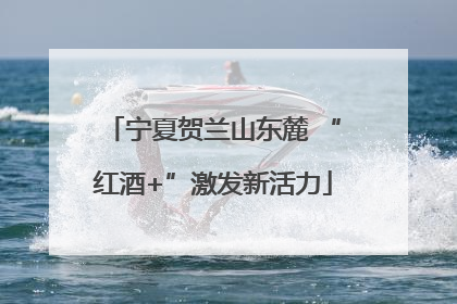 宁夏贺兰山东麓 “红酒+”激发新活力