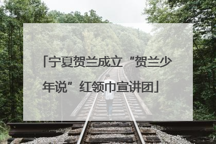 宁夏贺兰成立“贺兰少年说”红领巾宣讲团