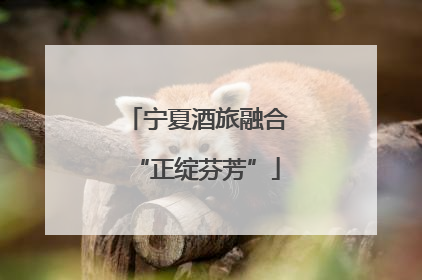宁夏酒旅融合“正绽芬芳”