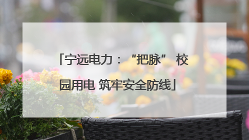 宁远电力：“把脉” 校园用电 筑牢安全防线
