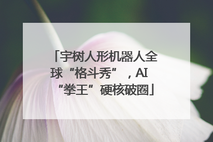 宇树人形机器人全球“格斗秀”，AI“拳王”硬核破圈