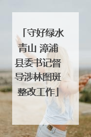 守好绿水青山 漳浦县委书记督导涉林图斑整改工作