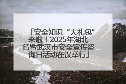 安全知识“大礼包”来啦！2025年湖北省暨武汉市安全宣传咨询日活动在汉举行