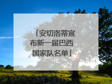 安切洛蒂宣布新一届巴西国家队名单