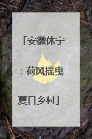 安徽休宁：荷风摇曳夏日乡村