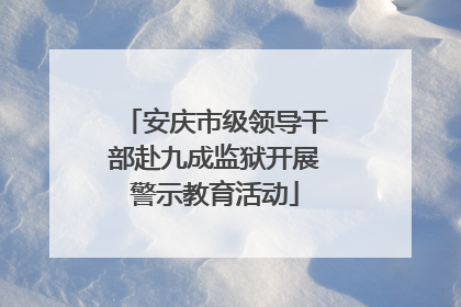 安庆市级领导干部赴九成监狱开展警示教育活动