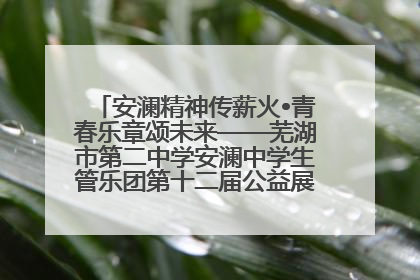 安澜精神传薪火•青春乐章颂未来——芜湖市第二中学安澜中学生管乐团第十二届公益展演圆满举行