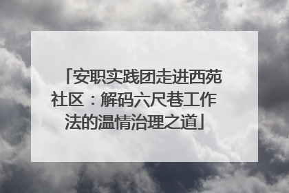 安职实践团走进西苑社区：解码六尺巷工作法的温情治理之道