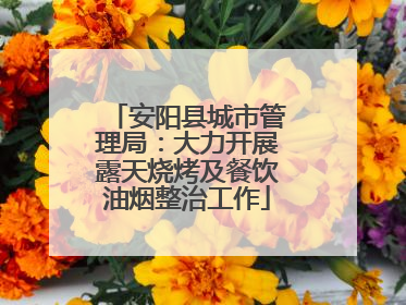 安阳县城市管理局：大力开展露天烧烤及餐饮油烟整治工作