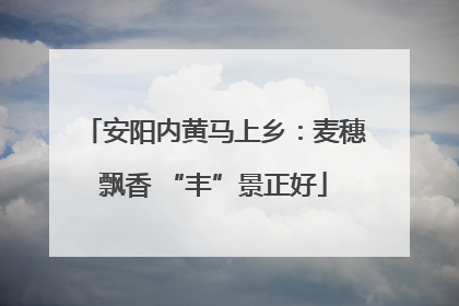 安阳内黄马上乡：麦穗飘香 “丰”景正好