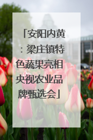 安阳内黄：梁庄镇特色蔬果亮相央视农业品牌甄选会