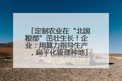 定制农业在“北国粮都”茁壮生长！企业：用算力指导生产，扁平化管理种地